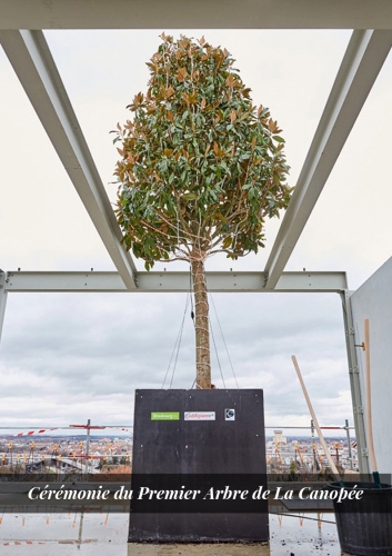 Cérémonie du Premier Arbre de La Canopée - Edifipierre 